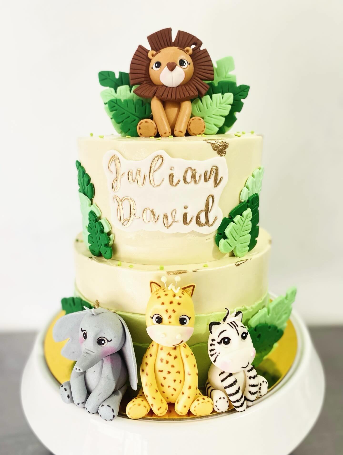 Safari de Julian David con leoncito, elefante, jirafa y cebra